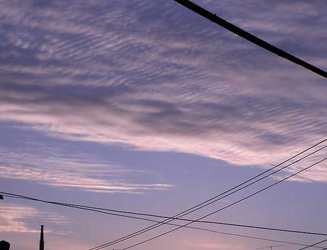 DSCN2916.jpg