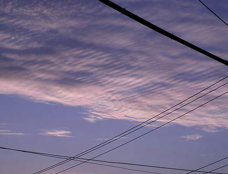 DSCN2922.jpg