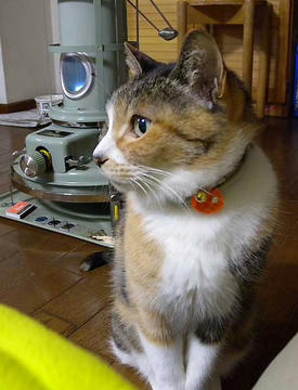 DSCN2960.jpg