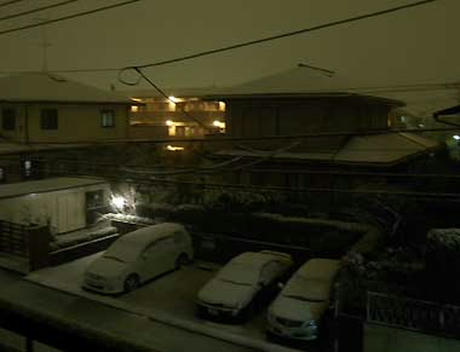 DSCN2984.jpg