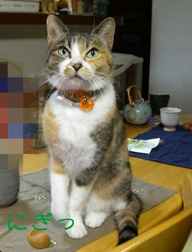 DSCN2963.jpg