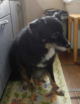 DSCN3052.jpg