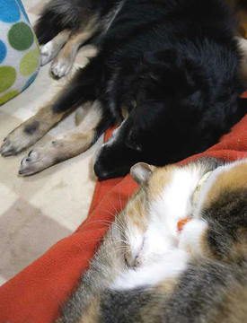 DSCN3031.jpg
