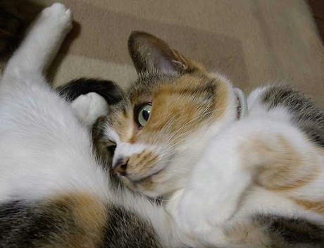 DSCN3071.jpg