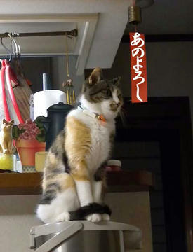 DSCN3066.jpg