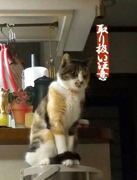 DSCN3067.jpg