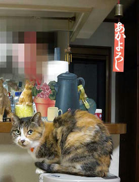 DSCN3118.jpg