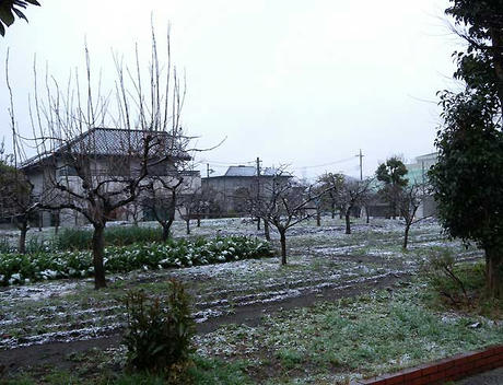 DSCN3125.jpg