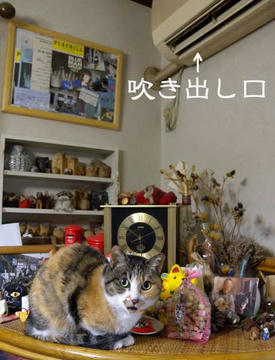 DSCN3137.jpg