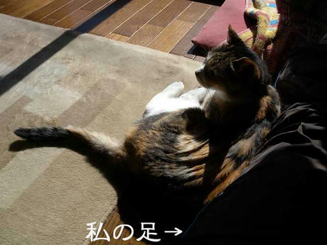 DSCN3143.jpg