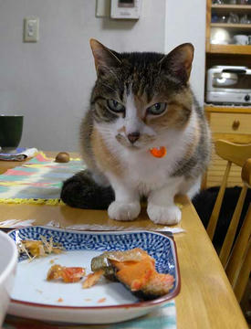 DSCN3626.jpg