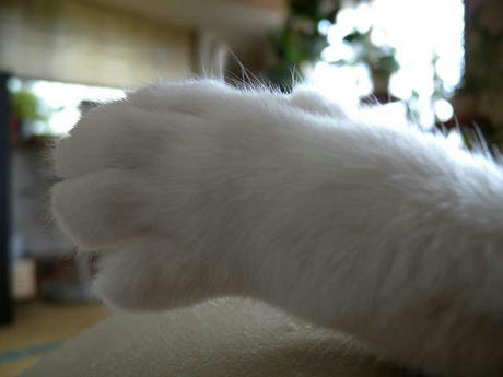 DSCN3704.jpg