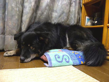 DSCN3738.jpg
