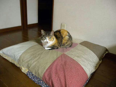 DSCN3739.jpg
