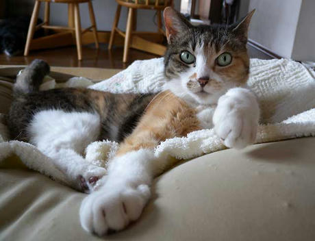 DSCN3707.jpg