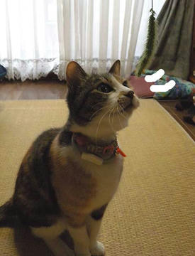 DSCN3783.jpg
