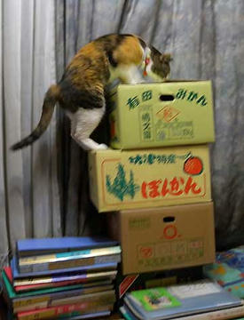 DSCN3807.jpg