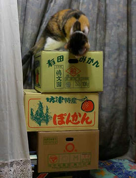 DSCN3809.jpg