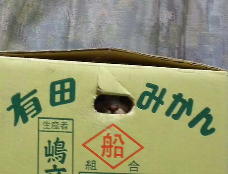 DSCN3814.jpg