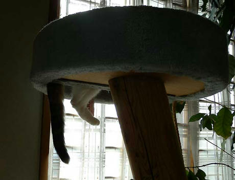 DSCN3828.jpg