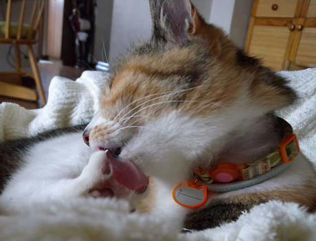 DSCN3719.jpg