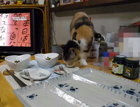DSCN3853.jpg
