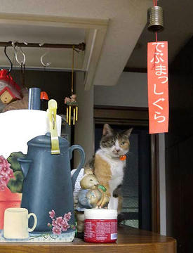 DSCN3859.jpg