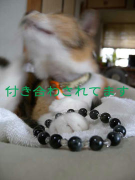 DSCN3871.jpg