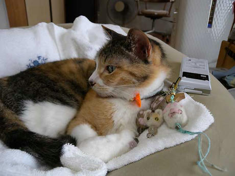DSCN3899.jpg