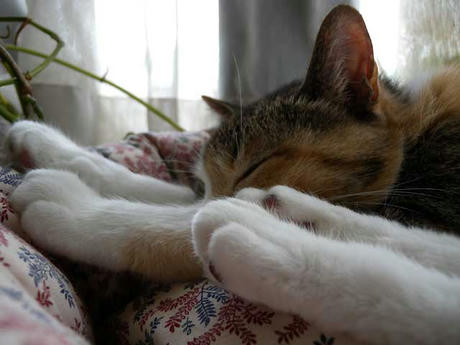 DSCN3918.jpg