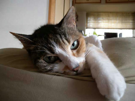 DSCN3961.jpg