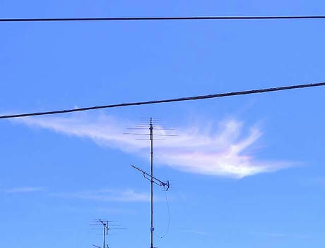 DSCN3974.jpg
