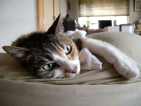 DSCN3960.jpg