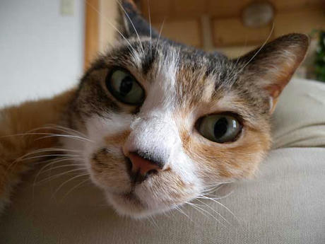 DSCN3966.jpg