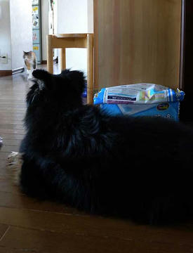 DSCN3992.jpg