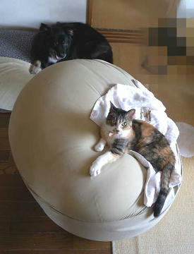 DSCN3997.jpg