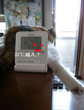 DSCN3995.jpg