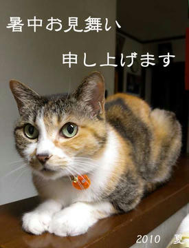 DSCN3909.jpg