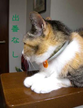 DSCN3908.jpg