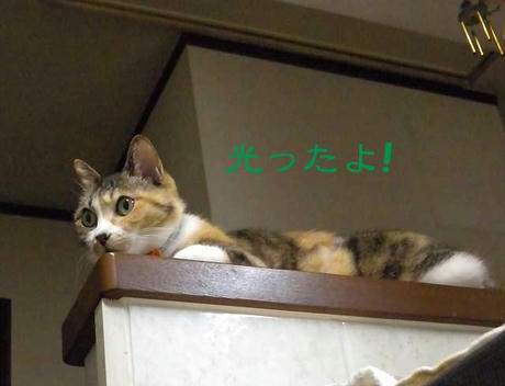 DSCN4033.jpg