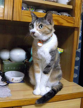 DSCN4040.jpg