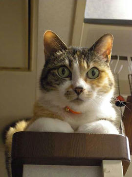DSCN3978.jpg