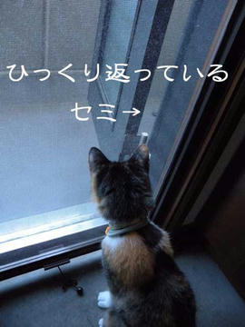 DSCN4057.jpg