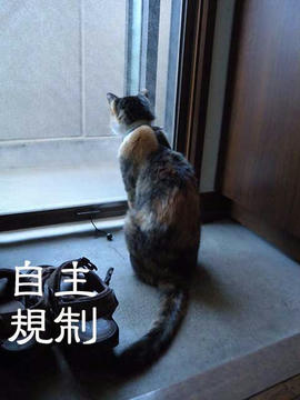 DSCN4058.jpg