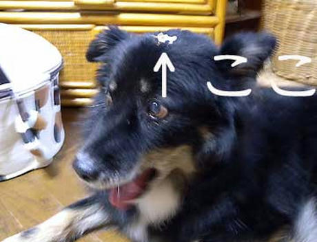 9dd4002e.jpeg