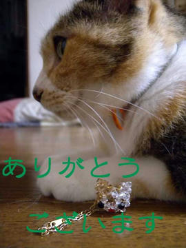 DSCN4089.jpg