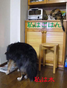 363610ac.jpg