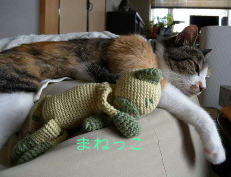 DSCN4170.jpg