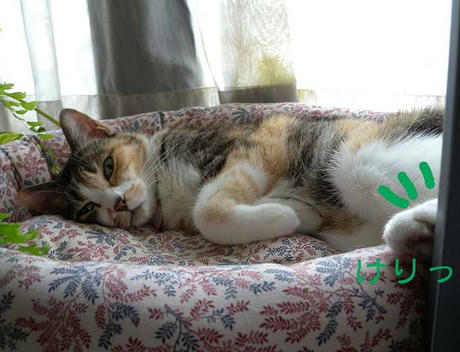 DSCN4191.jpg