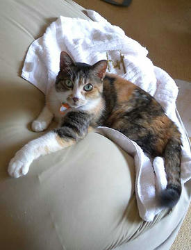 DSCN3996.jpg